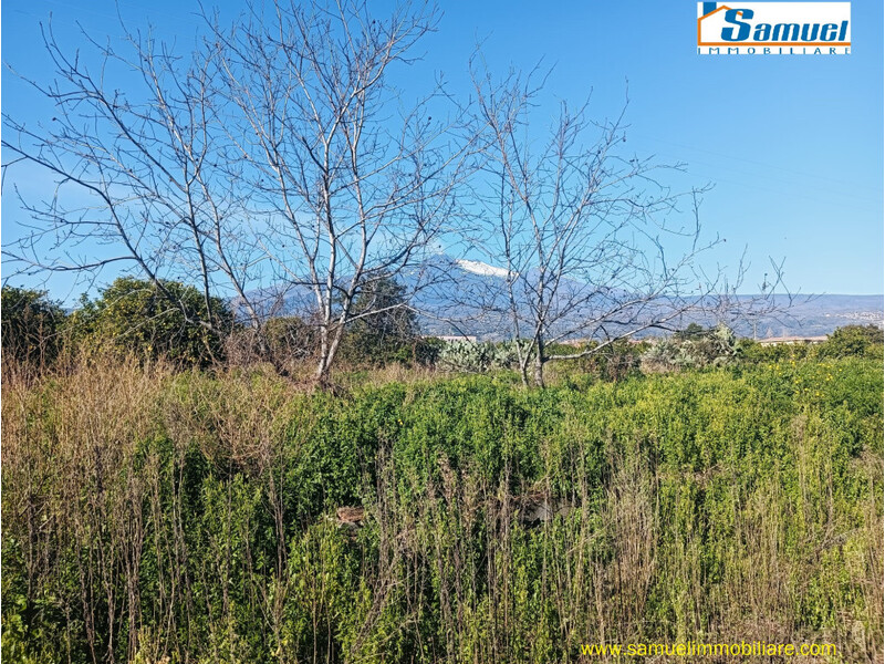 Riposto, panoramico terreno agricolo di mq 2.200 (CT)