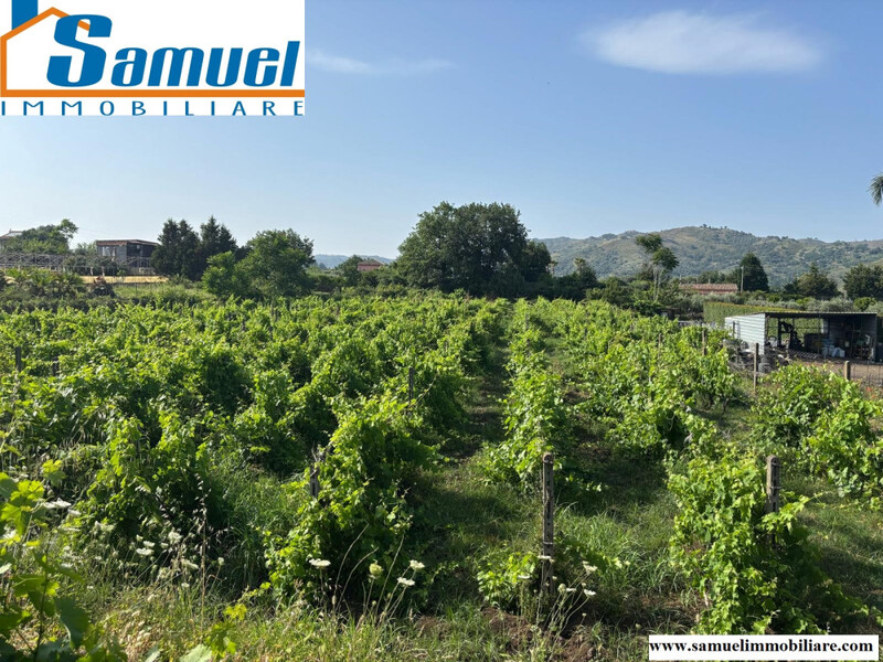 Piedimonte Etneo, terreno agricolo di 2500mq con fabbricato rurale (CT)