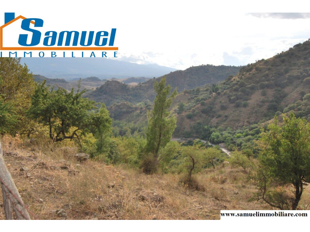 Francavilla di Sicilia, tenuta di 83 ettari di natura e produttivita' (ME)